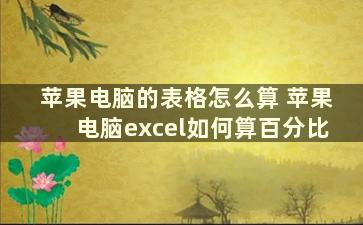 苹果电脑的表格怎么算 苹果电脑excel如何算百分比